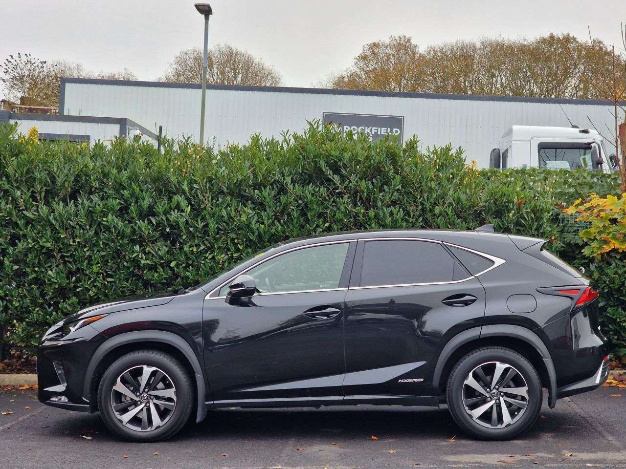 2019 LEXUS NX 2019 LEXUS NX
