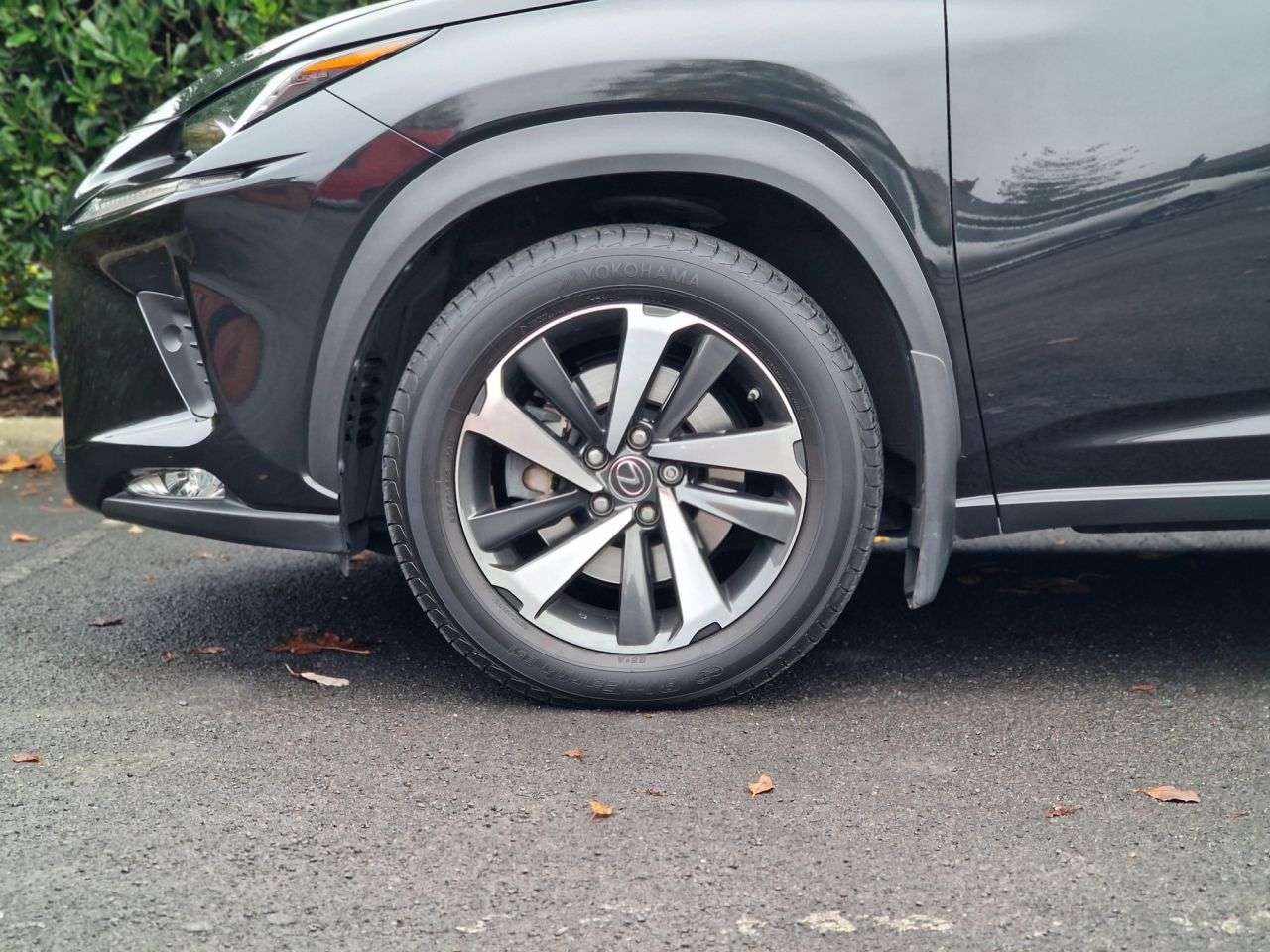 2019 LEXUS NX 2019 LEXUS NX