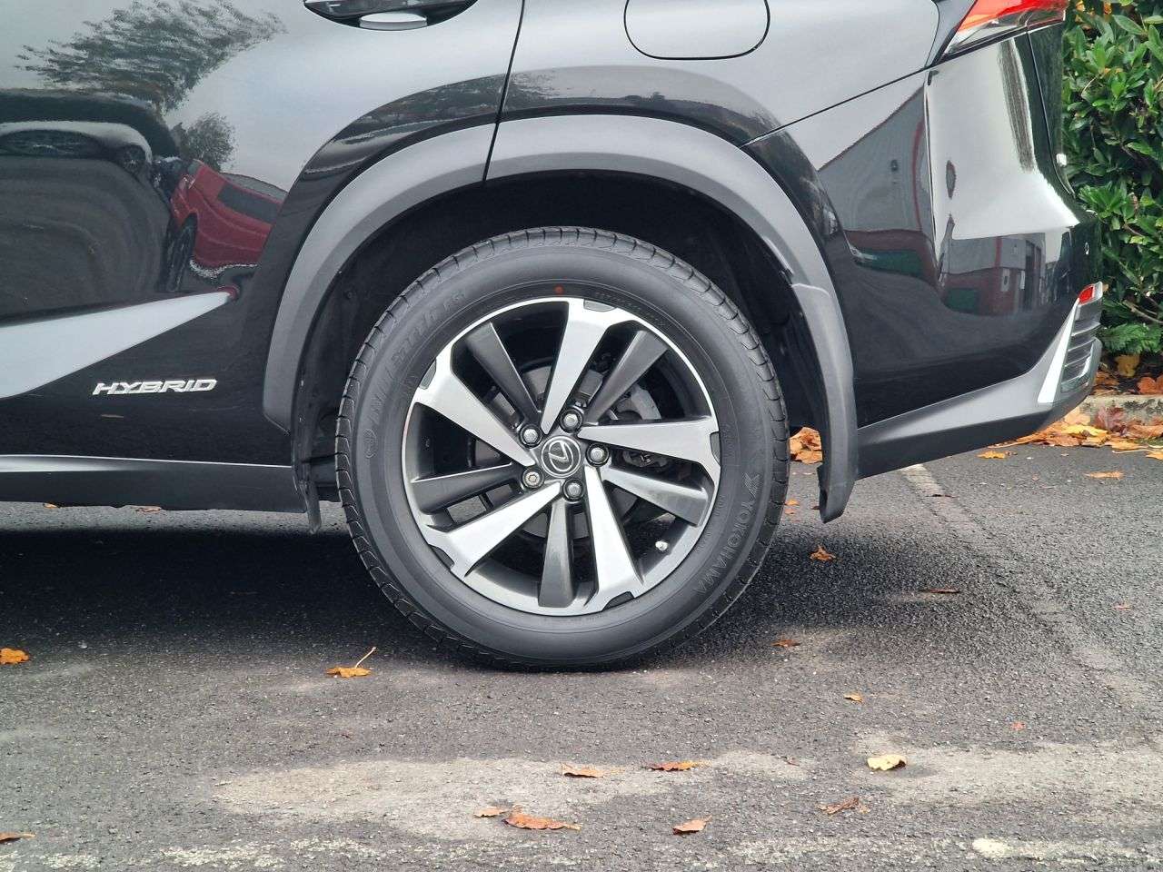 2019 LEXUS NX 2019 LEXUS NX