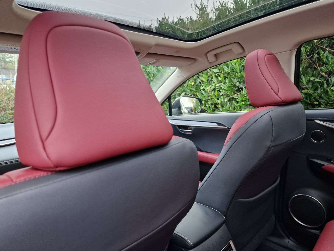 2019 LEXUS NX 2019 LEXUS NX