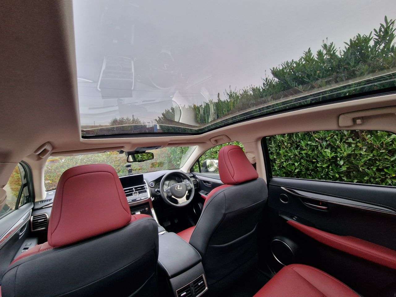 2019 LEXUS NX 2019 LEXUS NX