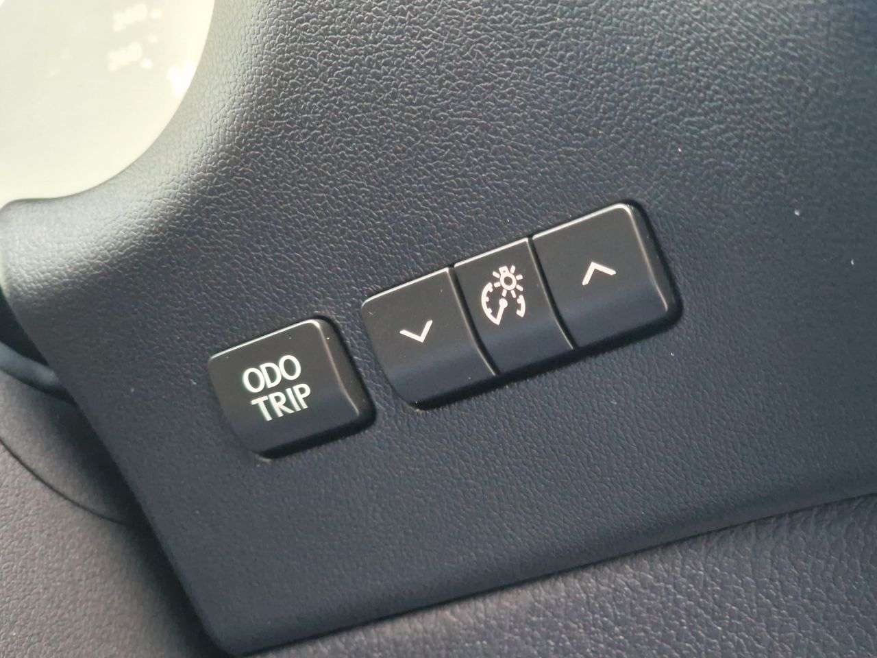 2019 LEXUS NX 2019 LEXUS NX