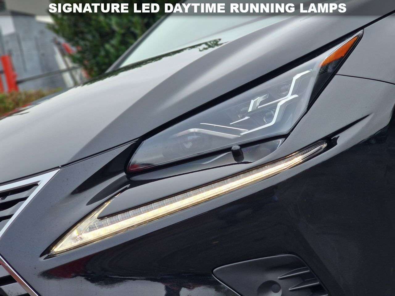 2019 LEXUS NX 2019 LEXUS NX