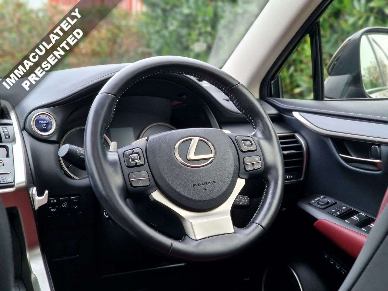 2019 LEXUS NX 2019 LEXUS NX