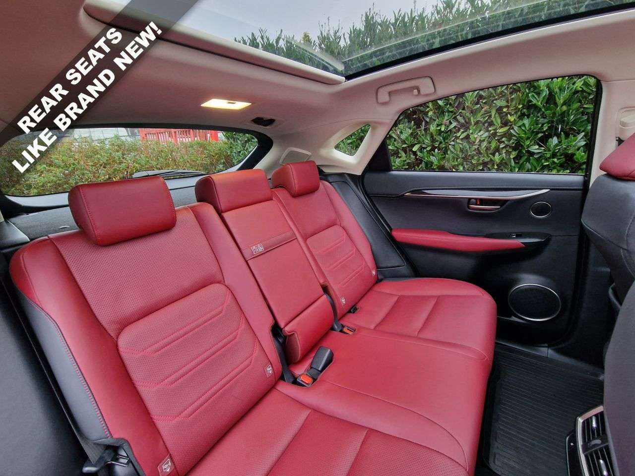 2019 LEXUS NX 2019 LEXUS NX