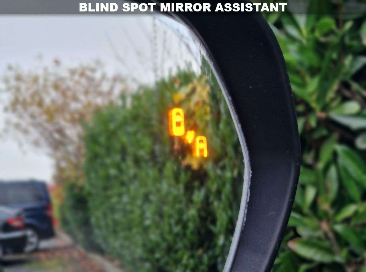 2019 LEXUS NX 2019 LEXUS NX