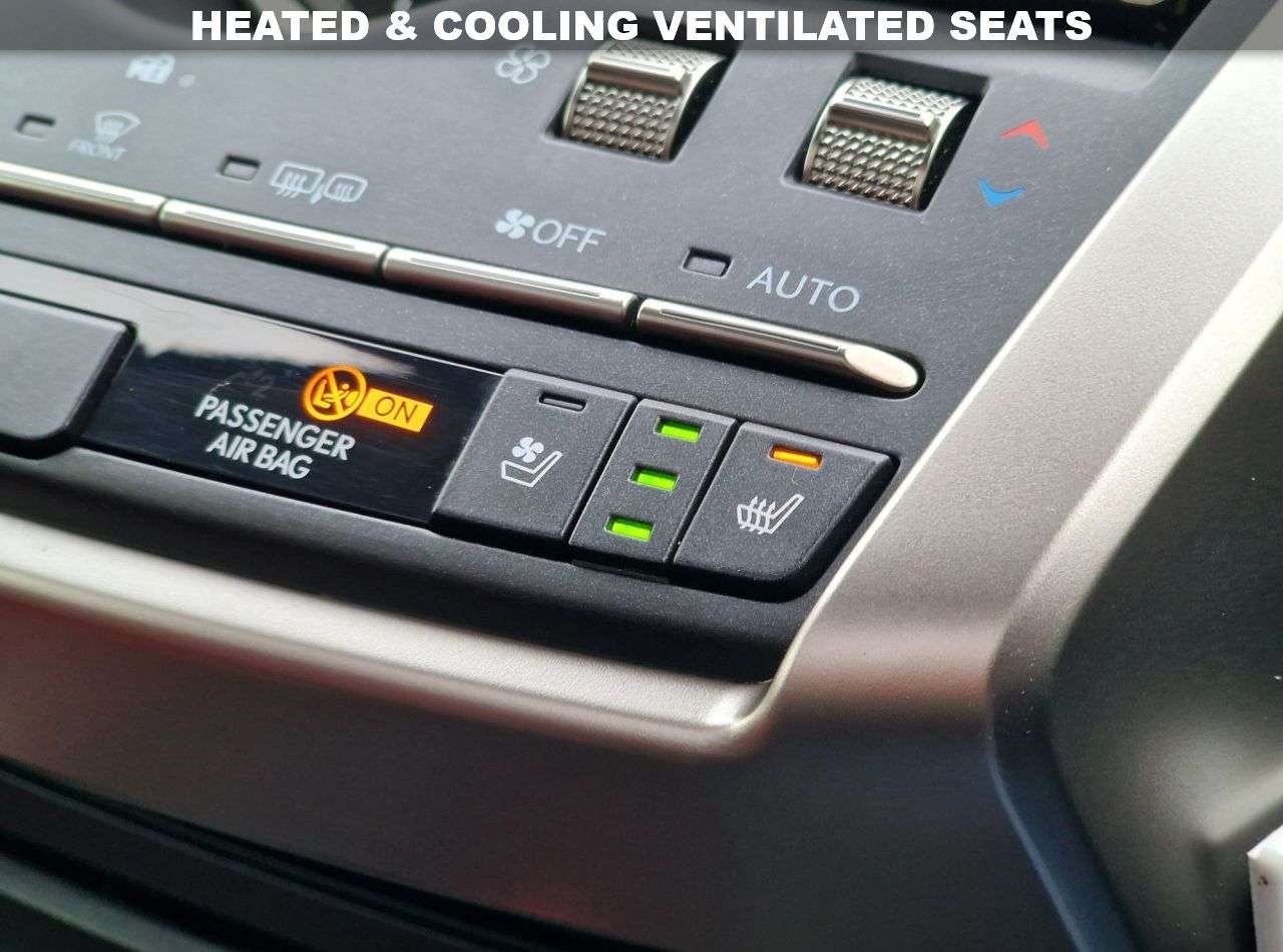 2019 LEXUS NX 2019 LEXUS NX