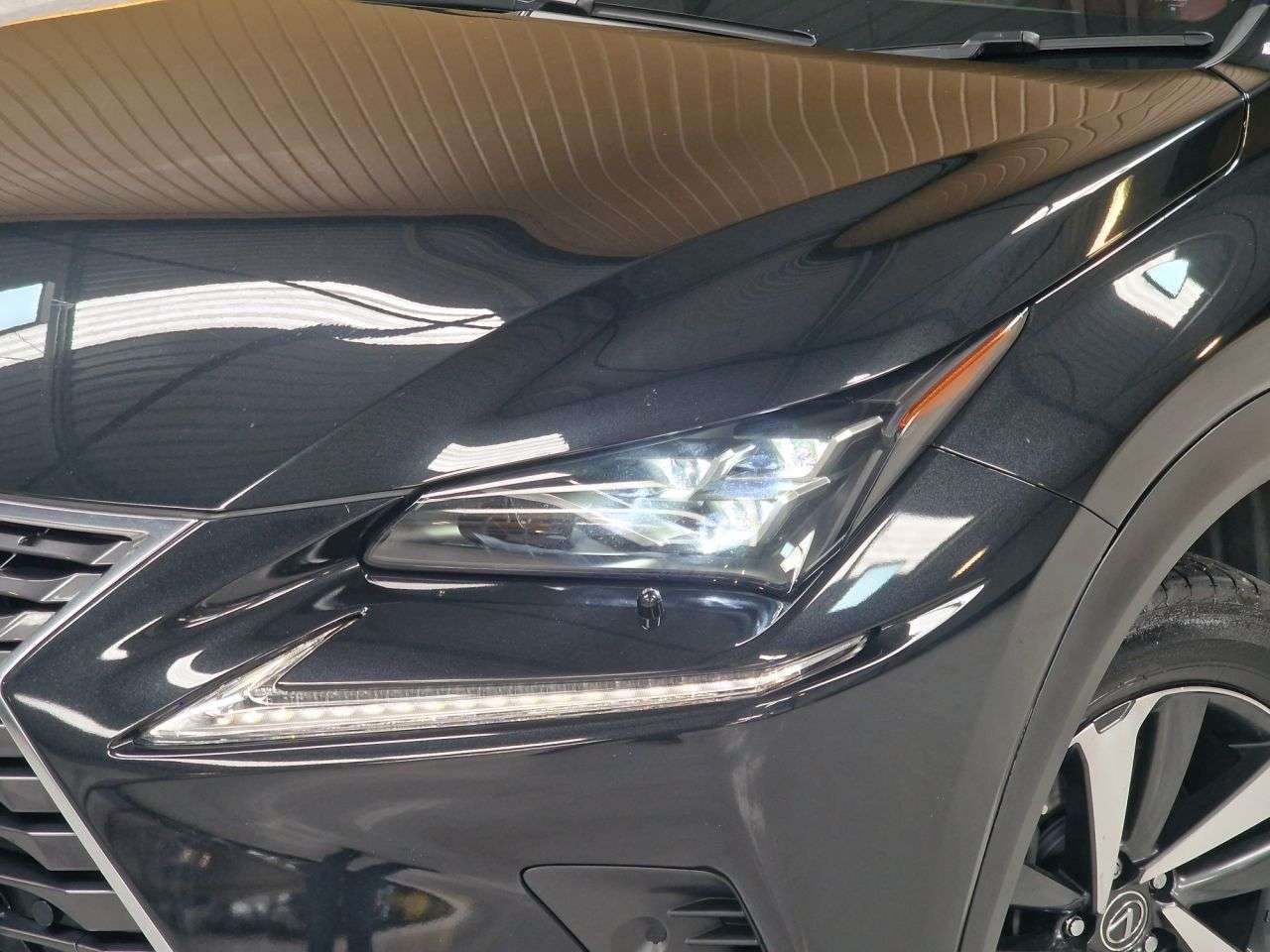 2019 LEXUS NX 2019 LEXUS NX