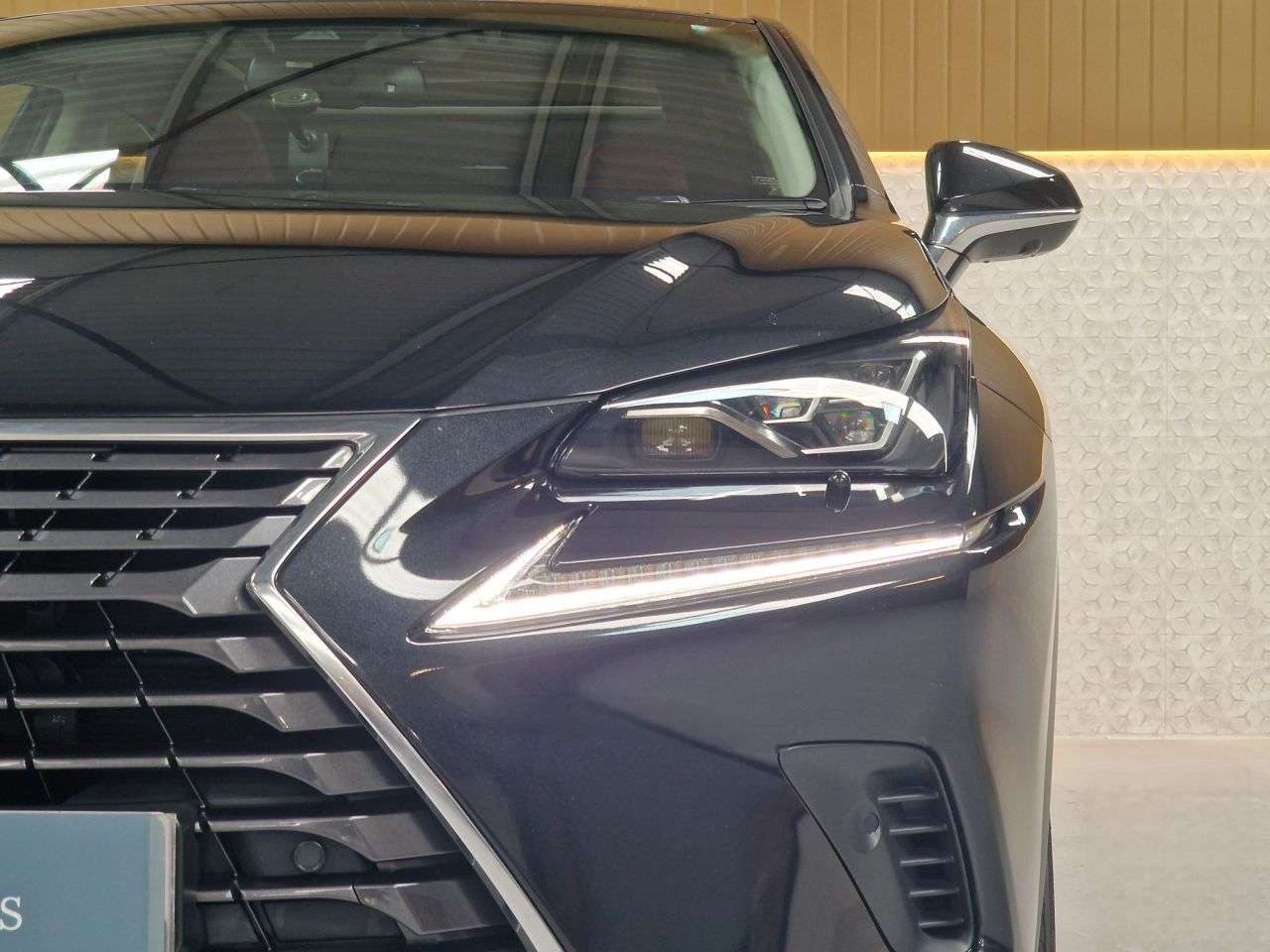 2019 LEXUS NX 2019 LEXUS NX