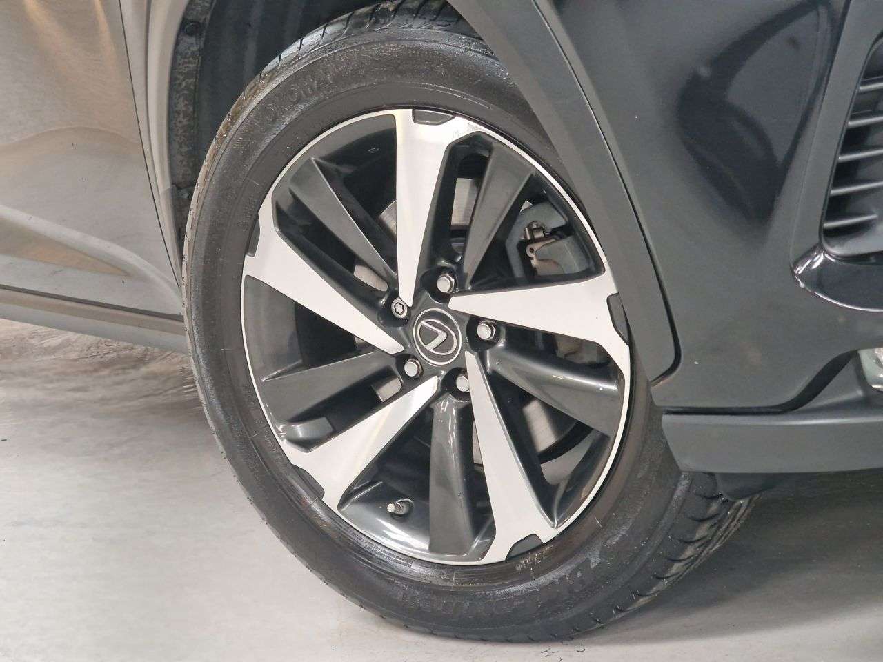 2019 LEXUS NX 2019 LEXUS NX