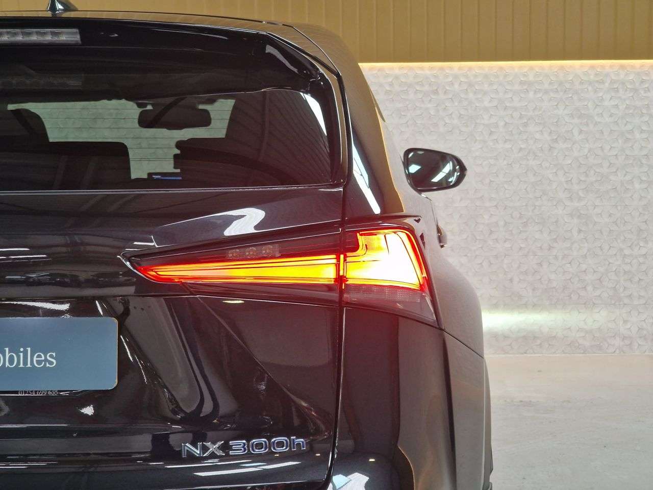 2019 LEXUS NX 2019 LEXUS NX