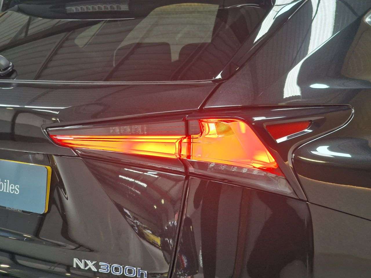 2019 LEXUS NX 2019 LEXUS NX