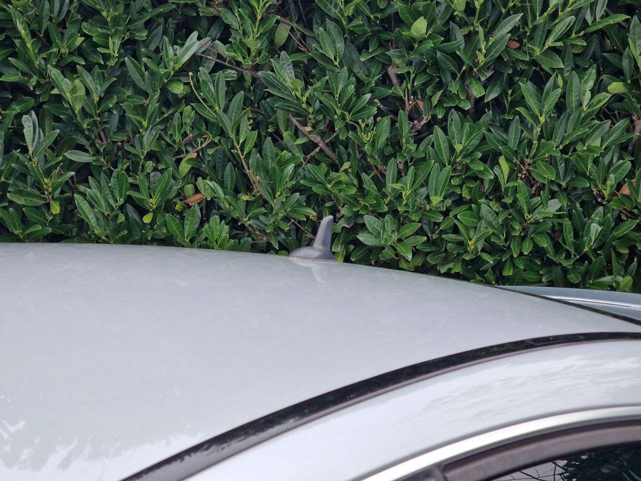 2015 MERCEDES-BENZ C-CLASS 2015 MERCEDES-BENZ C-CLASS