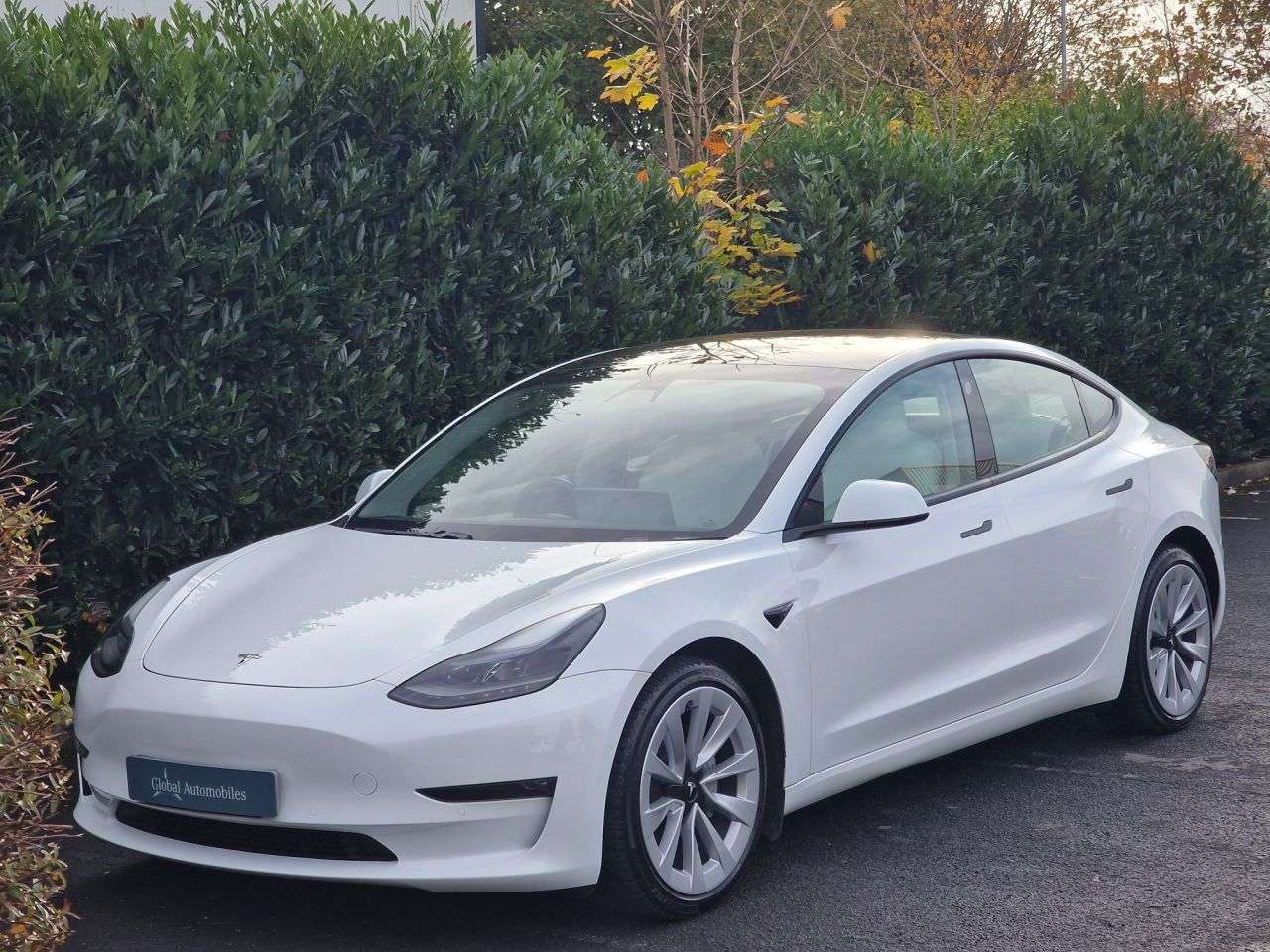 2021 TESLA MODEL 3 2021 TESLA MODEL 3
