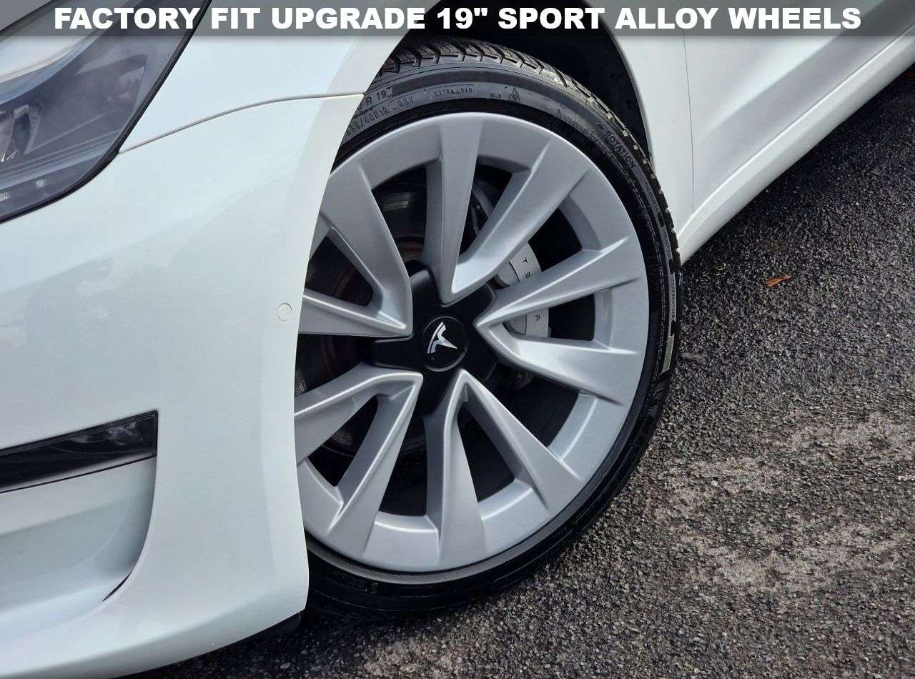 2021 TESLA MODEL 3 2021 TESLA MODEL 3