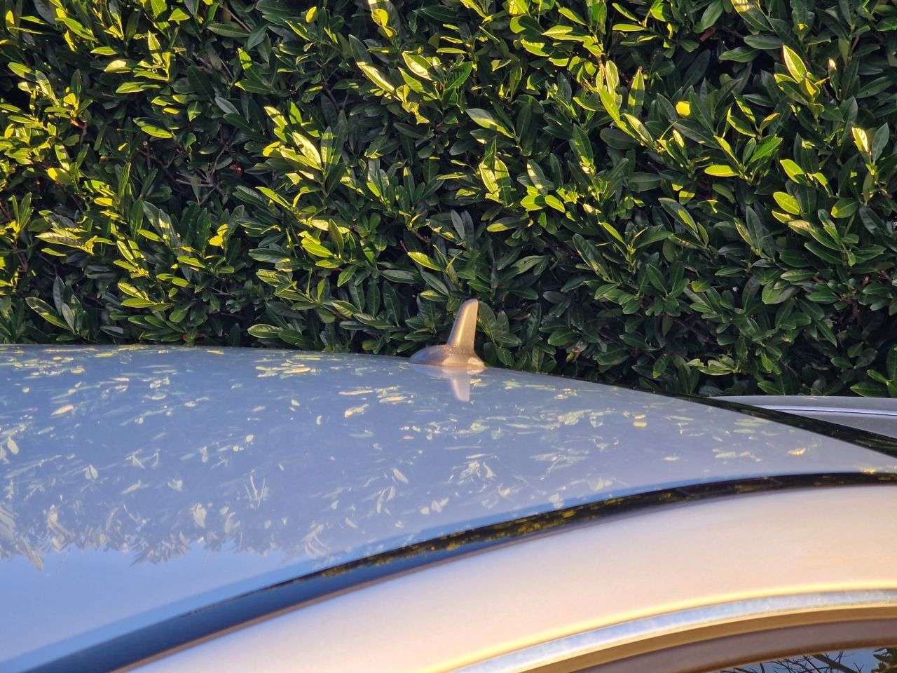 2015 MERCEDES-BENZ C-CLASS 2015 MERCEDES-BENZ C-CLASS