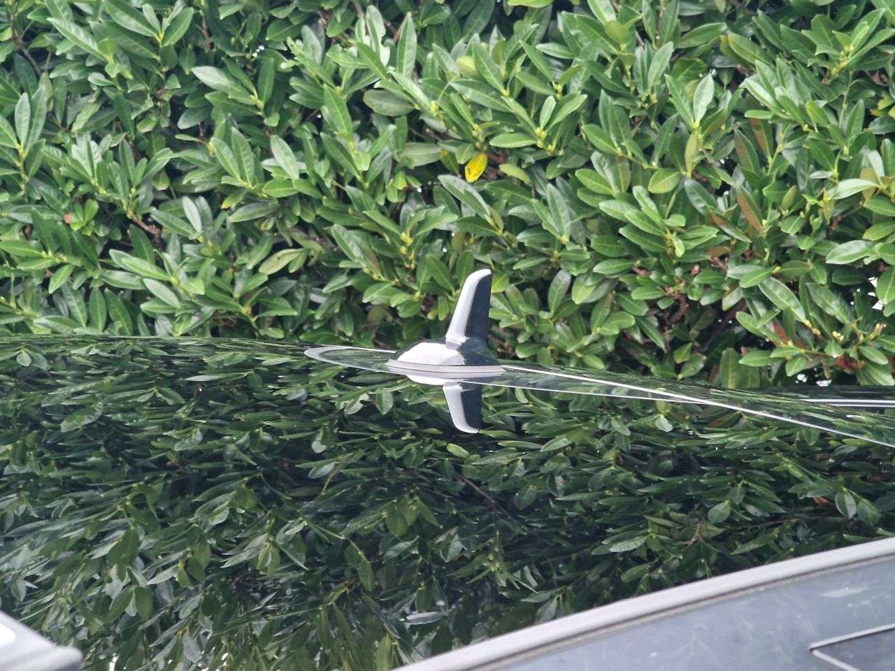 2015 MERCEDES-BENZ C-CLASS 2015 MERCEDES-BENZ C-CLASS