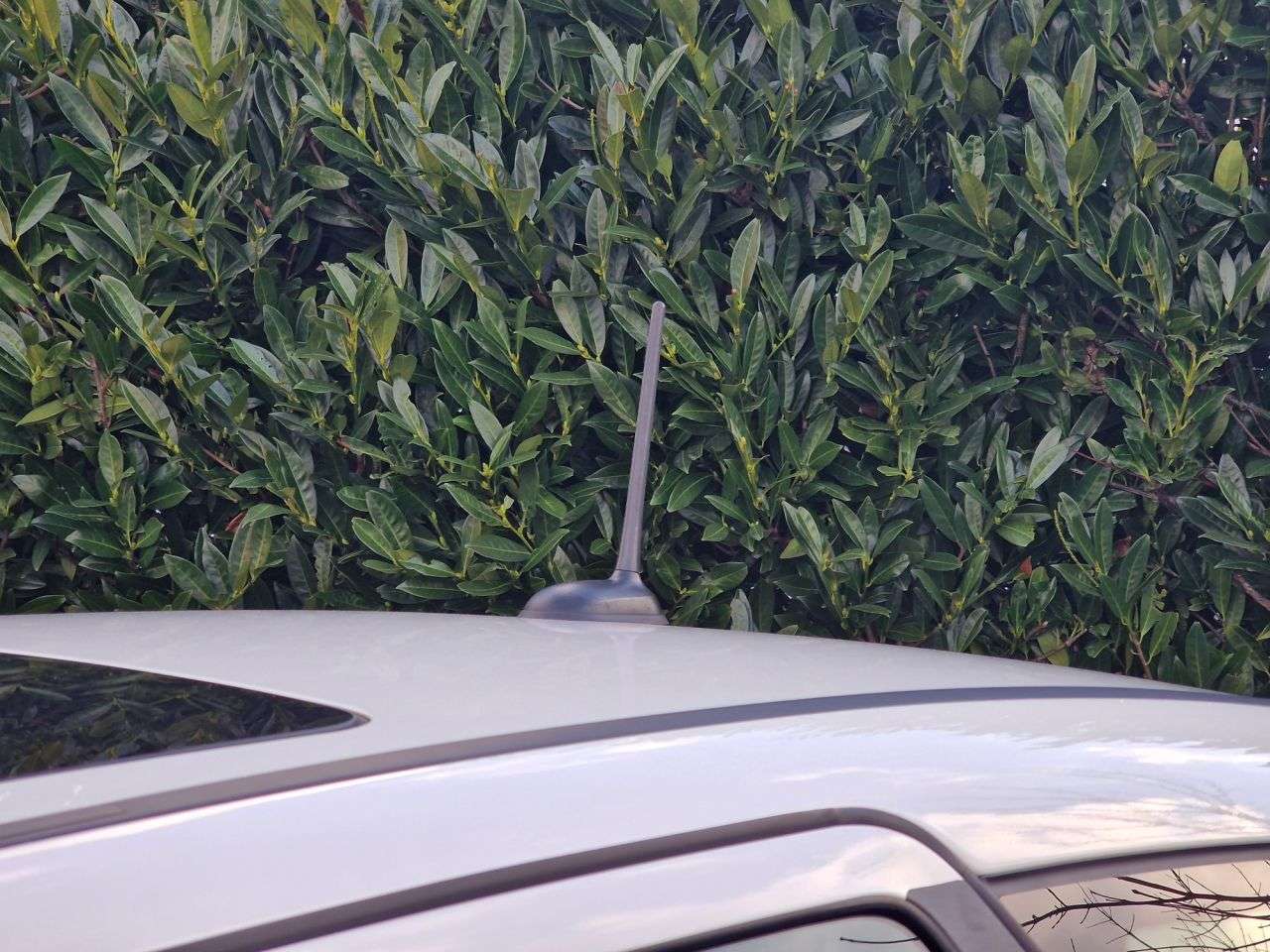 2010 MERCEDES-BENZ A-CLASS 2010 MERCEDES-BENZ A-CLASS