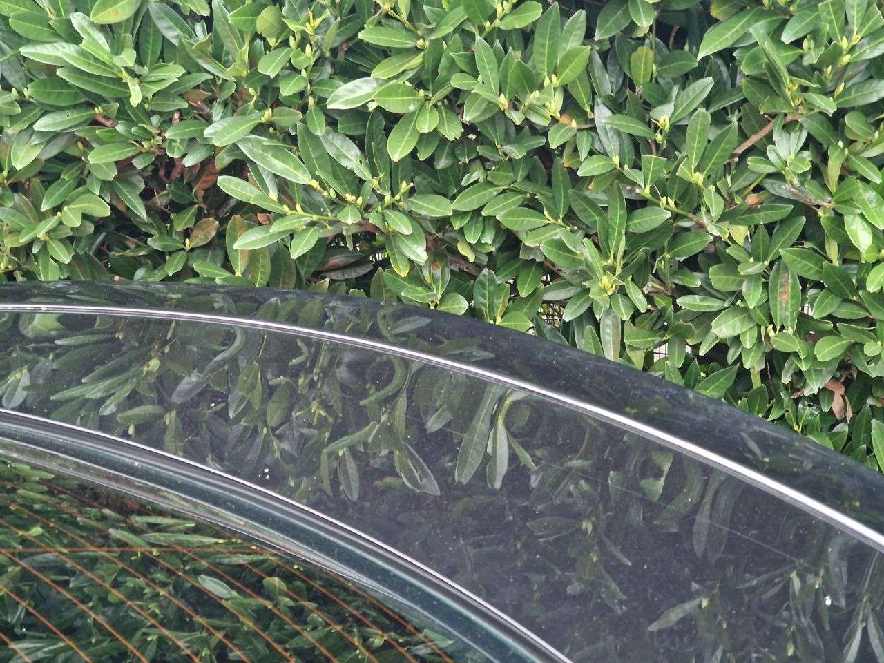 2015 MERCEDES-BENZ C-CLASS 2015 MERCEDES-BENZ C-CLASS