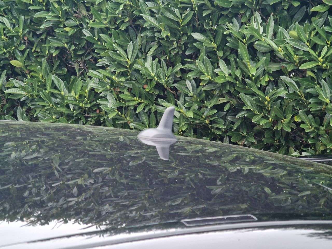 2015 MERCEDES-BENZ C-CLASS 2015 MERCEDES-BENZ C-CLASS