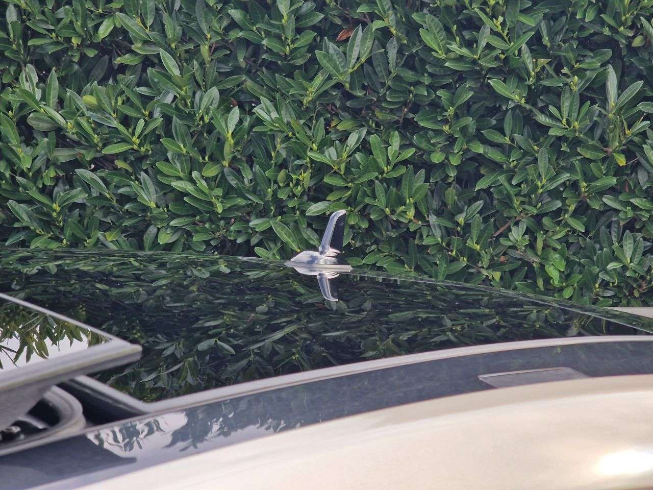 2014 MERCEDES-BENZ E-CLASS 2014 MERCEDES-BENZ E-CLASS