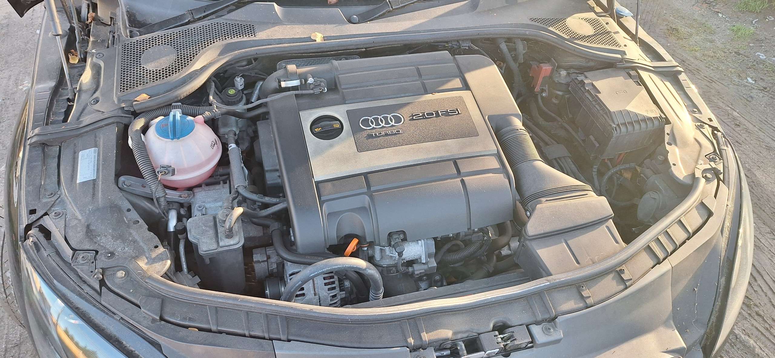 2010 AUDI TT 2010 AUDI TT