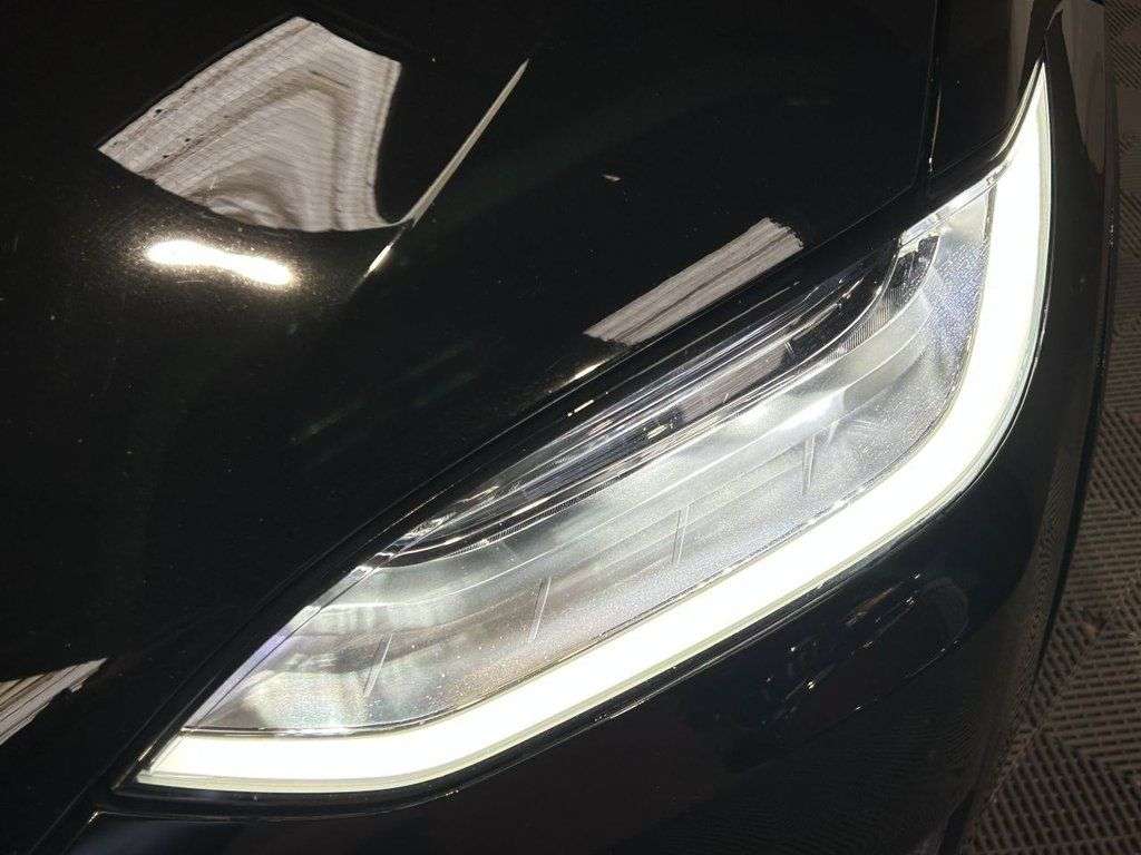 2019 TESLA MODEL X 2019 TESLA MODEL X