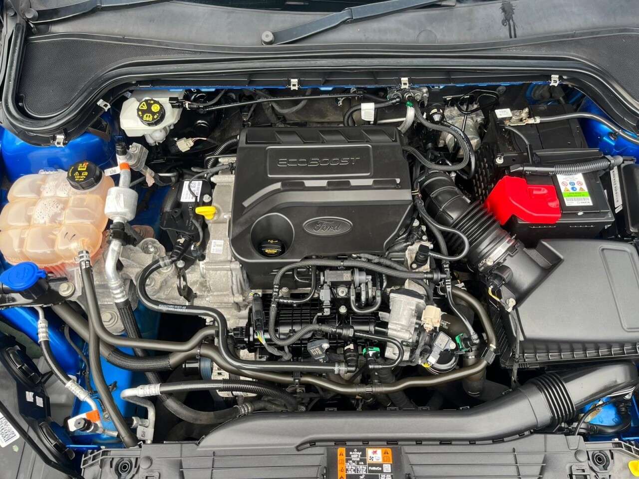 2019 FORD FOCUS 2019 FORD FOCUS