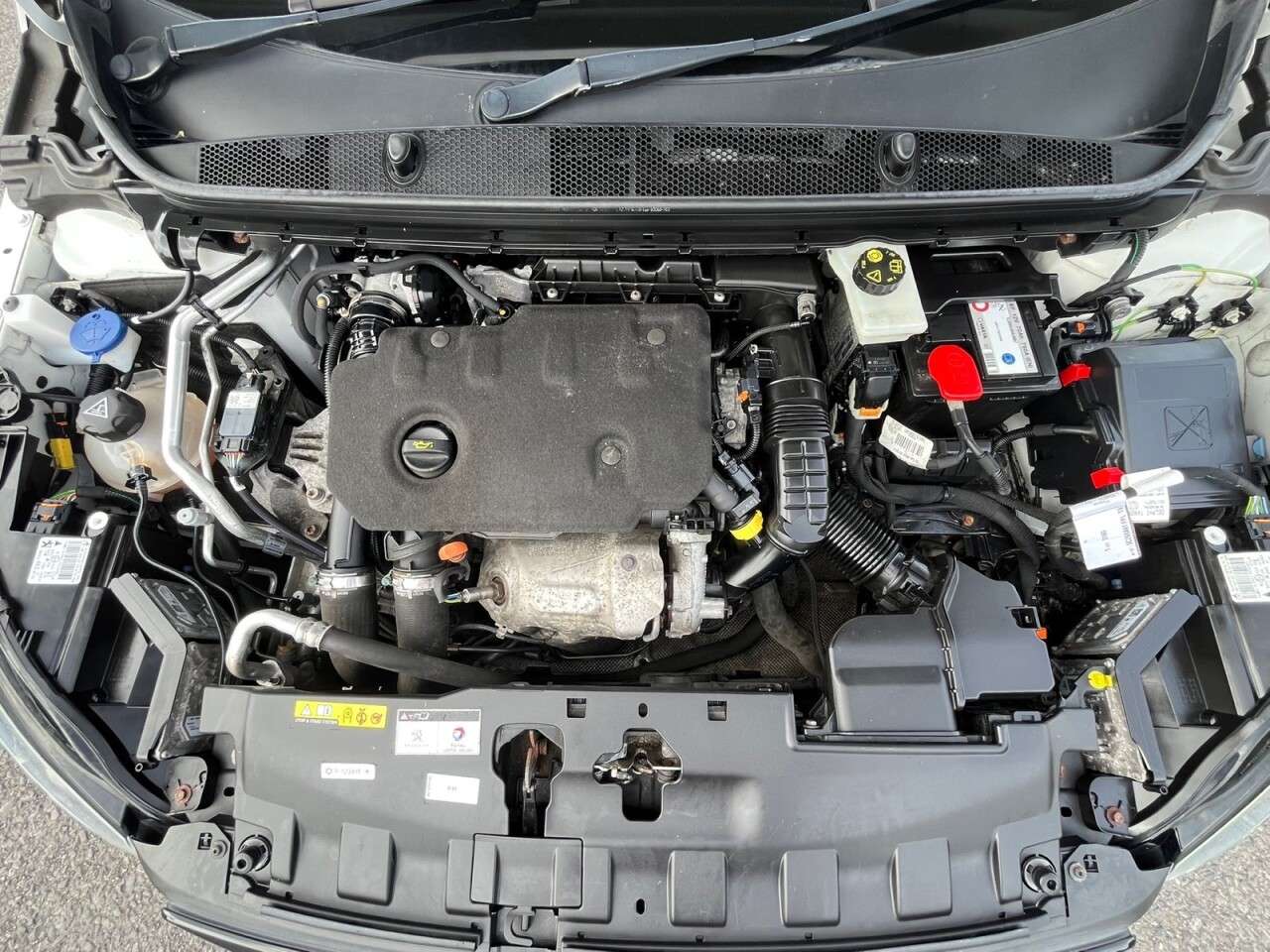 2019 PEUGEOT 308 2019 PEUGEOT 308