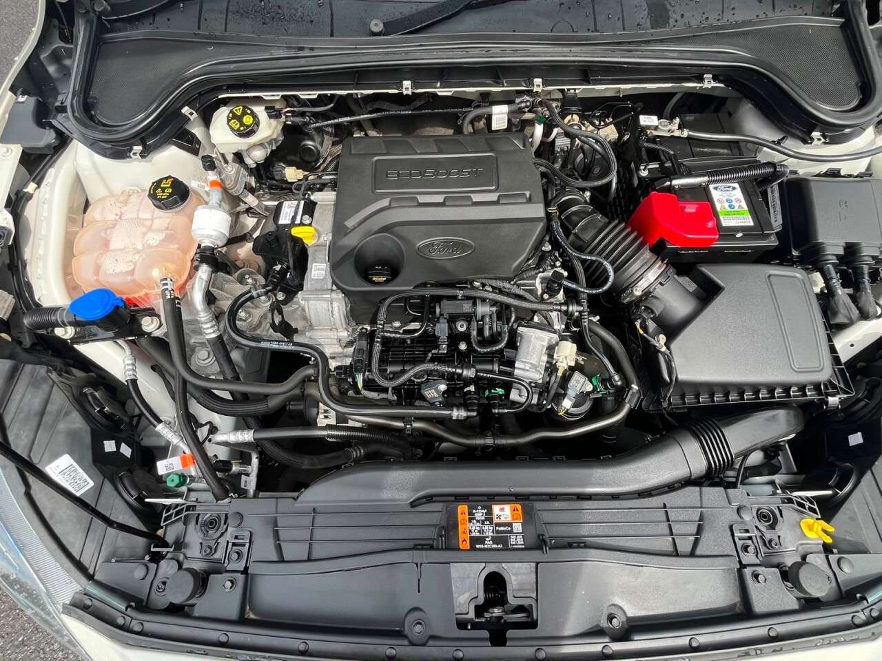 2020 FORD FOCUS 2020 FORD FOCUS