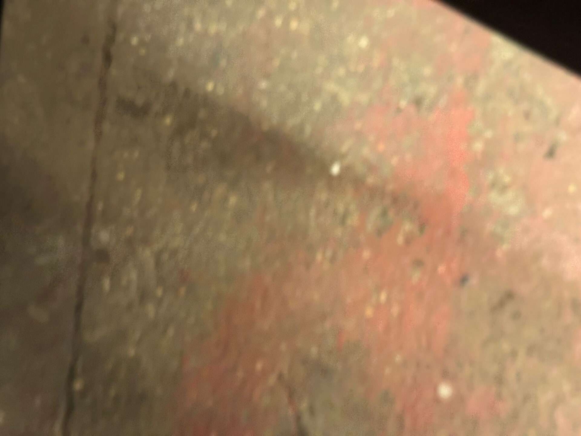 2015 SKODA ROOMSTER 2015 SKODA ROOMSTER