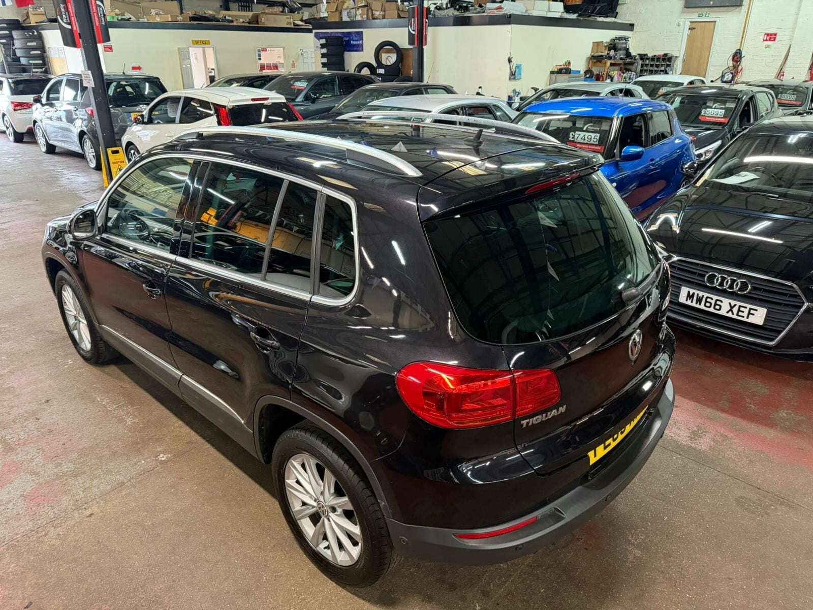 2013 VOLKSWAGEN TIGUAN 2013 VOLKSWAGEN TIGUAN