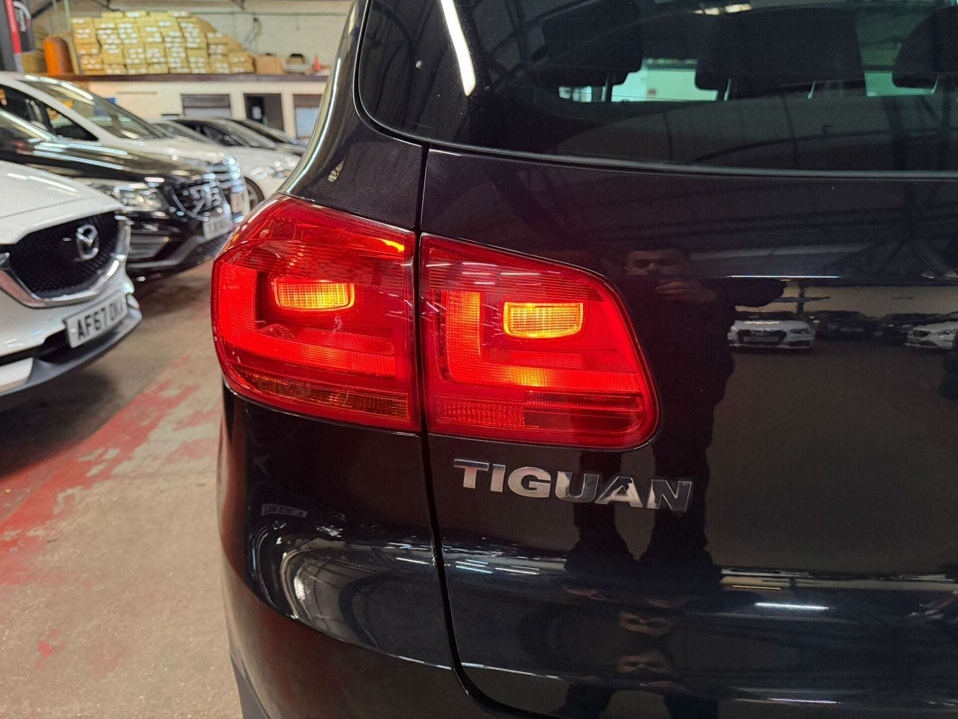 2013 VOLKSWAGEN TIGUAN 2013 VOLKSWAGEN TIGUAN