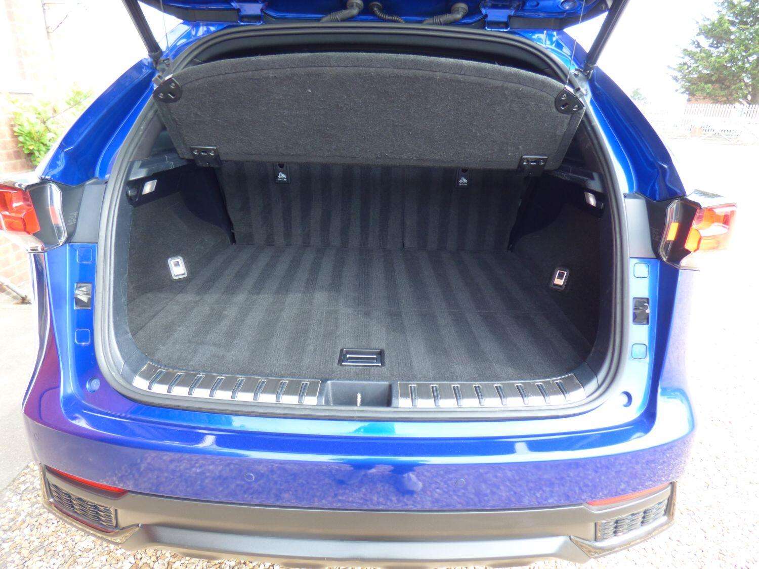 2019 LEXUS NX 2019 LEXUS NX