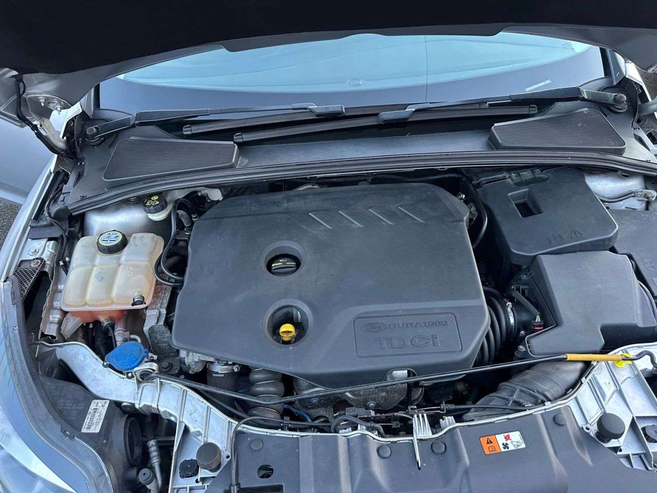 2014 FORD FOCUS 2014 FORD FOCUS