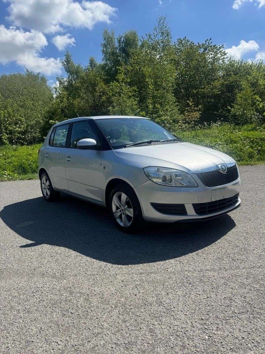 A 2013 SKODA FABIA 1.2 SE Hatchback 5dr Petrol Manual Euro 5 (69 ps) A 2013 SKODA FABIA 1.2 SE Hatchback 5dr Petrol Manual Euro 5 (69 ps)