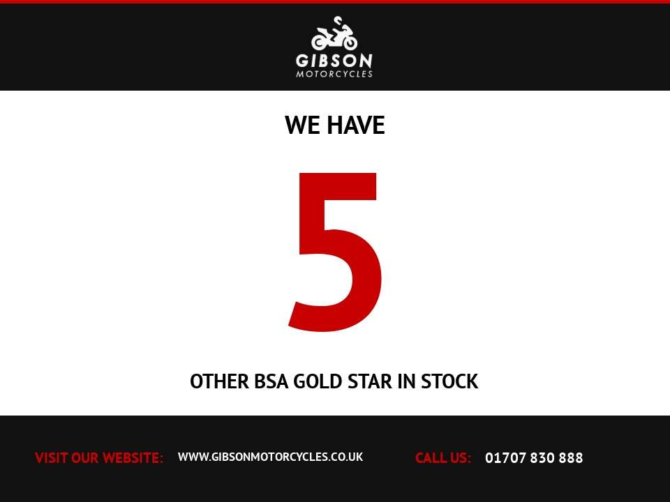 2024 BSA GOLD STAR 2024 BSA GOLD STAR