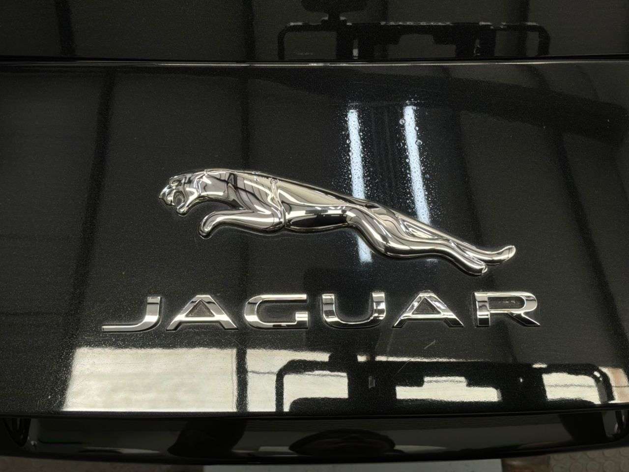 2019 JAGUAR F-TYPE 2019 JAGUAR F-TYPE