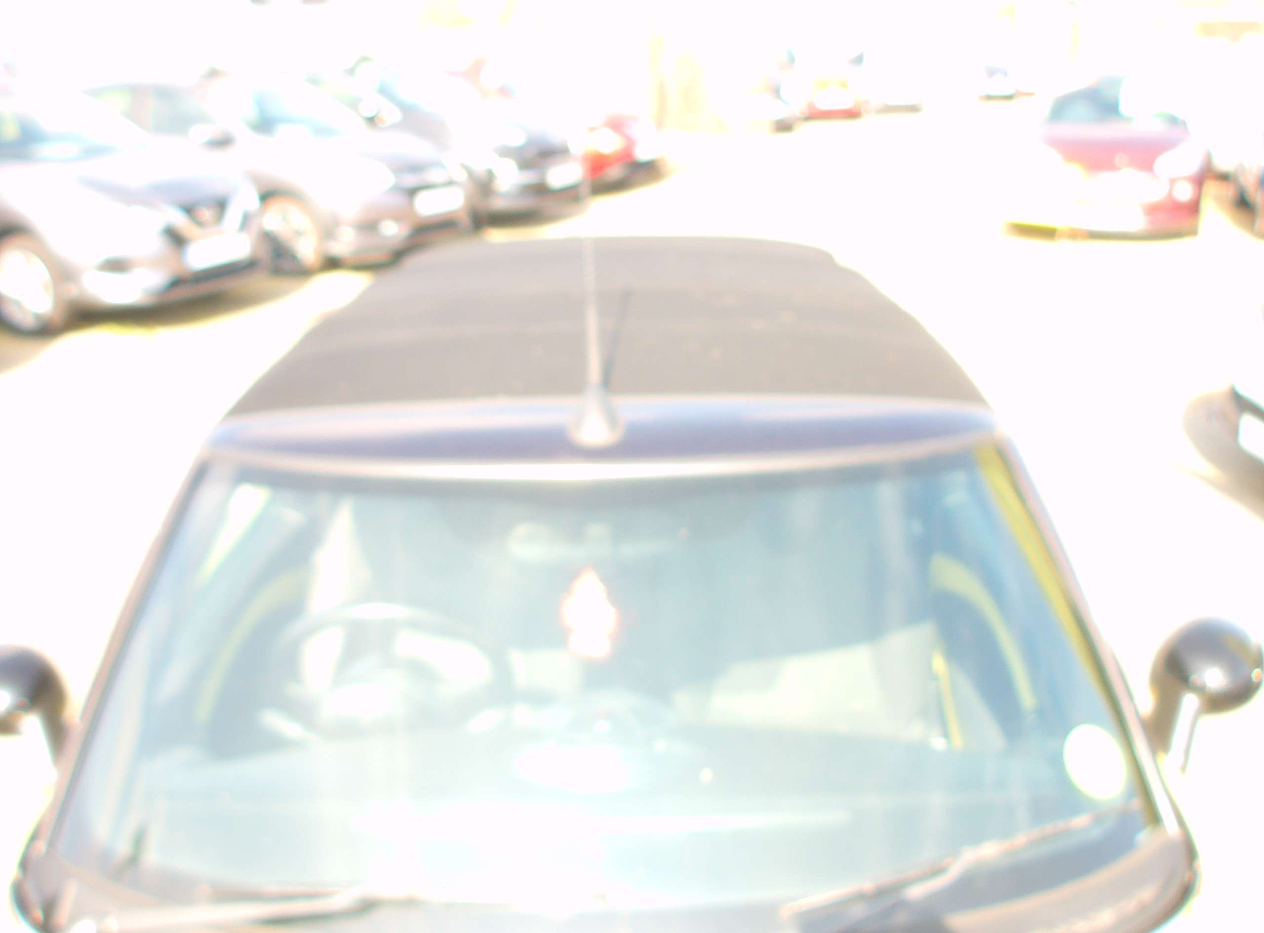 2010 MINI CONVERTIBLE 2010 MINI CONVERTIBLE