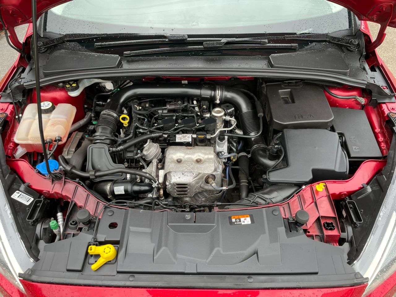 2017 FORD FOCUS 2017 FORD FOCUS