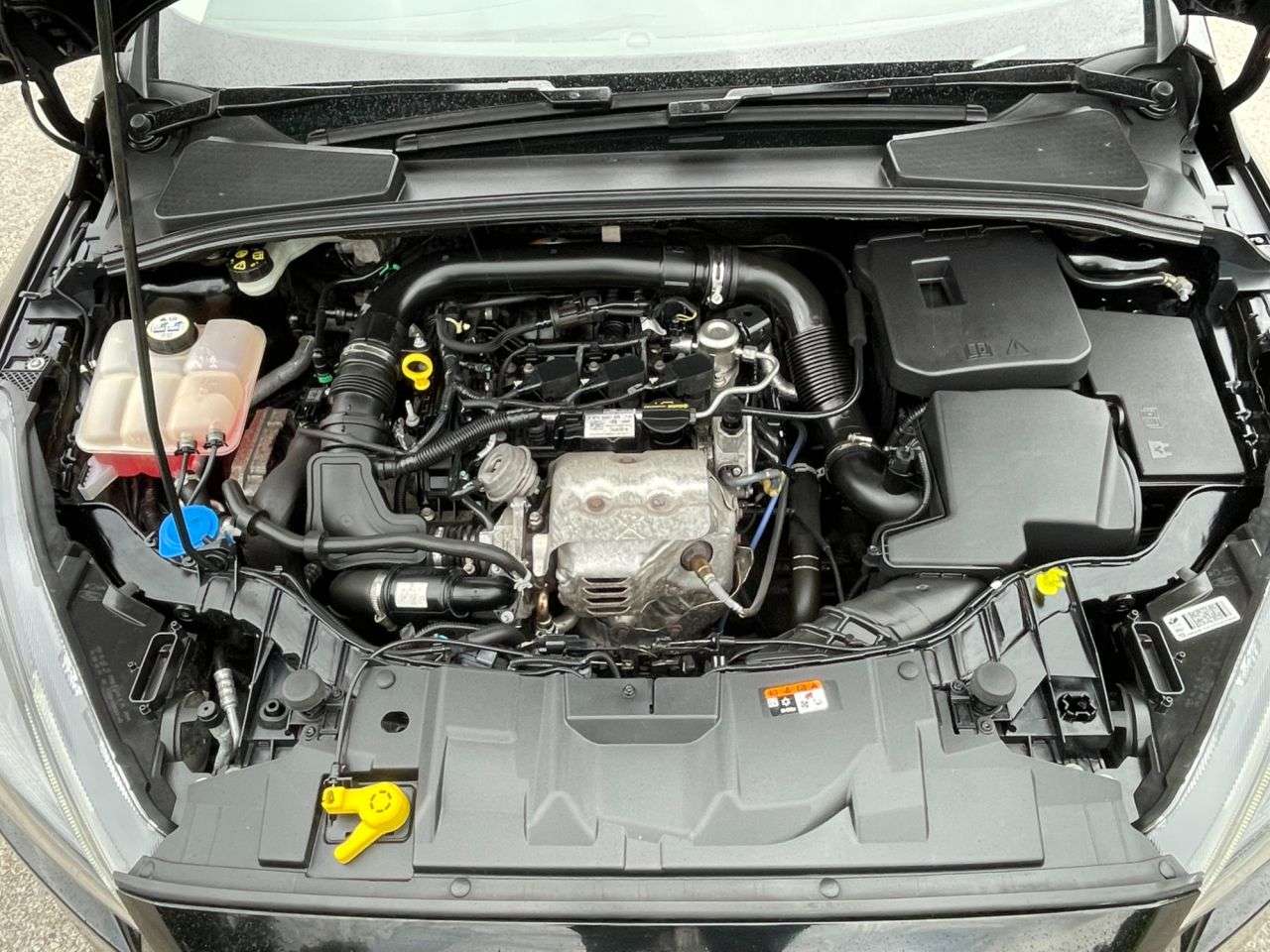 2016 FORD FOCUS 2016 FORD FOCUS