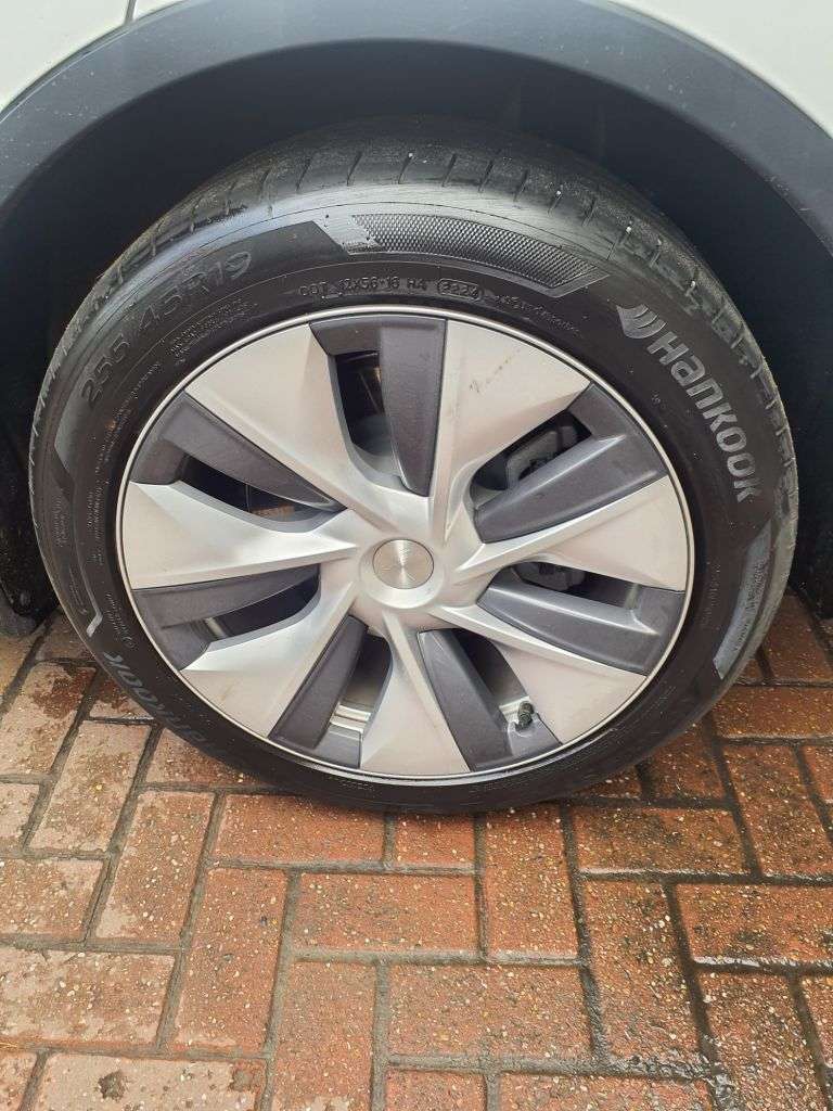 2024 TESLA MODEL Y 2024 TESLA MODEL Y