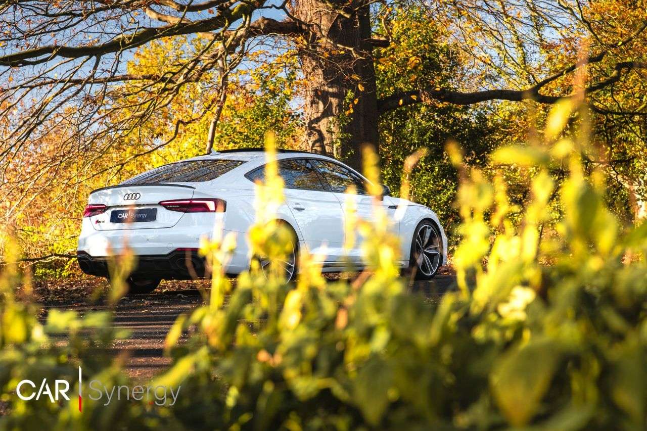 2019 AUDI RS5 2019 AUDI RS5