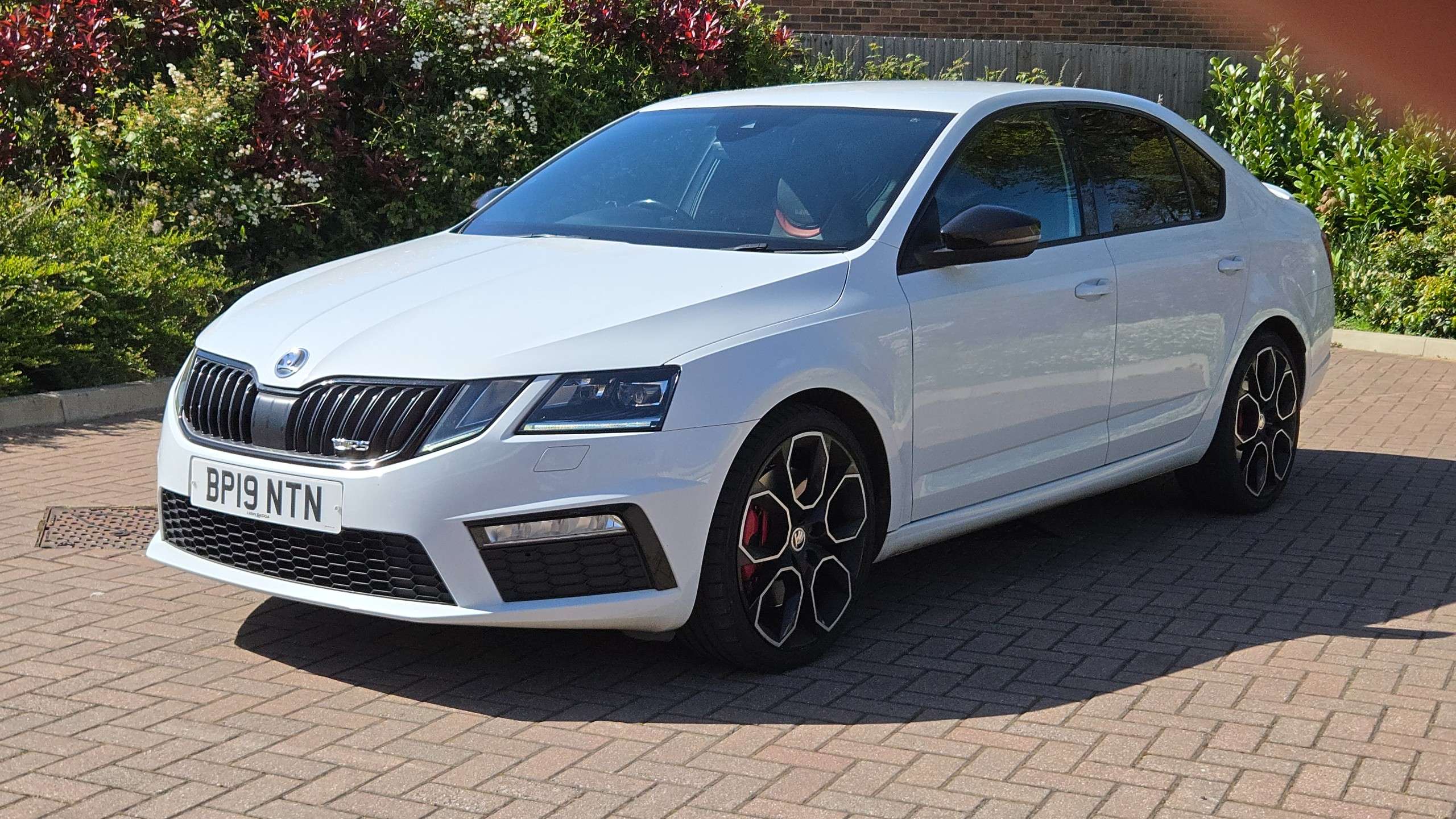 2019 SKODA OCTAVIA 2019 SKODA OCTAVIA