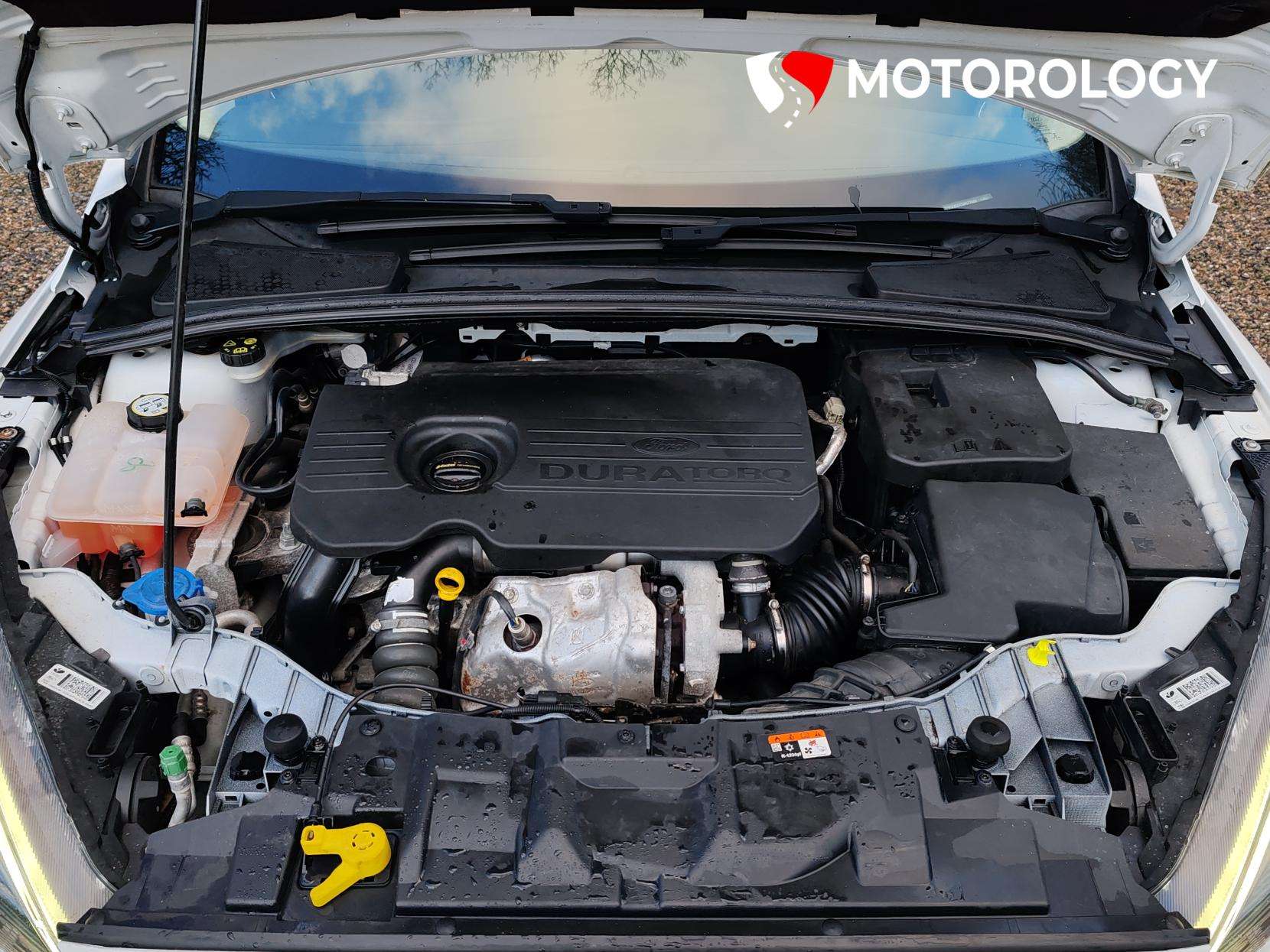 2018 FORD FOCUS 2018 FORD FOCUS