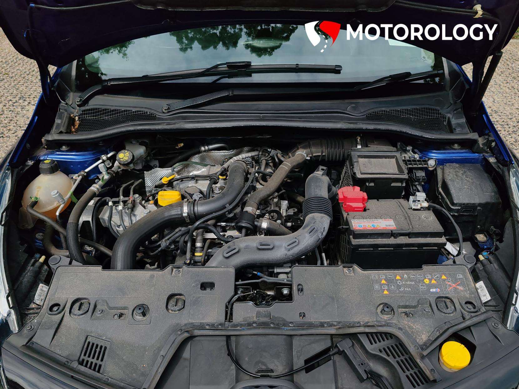 2019 RENAULT CLIO 2019 RENAULT CLIO