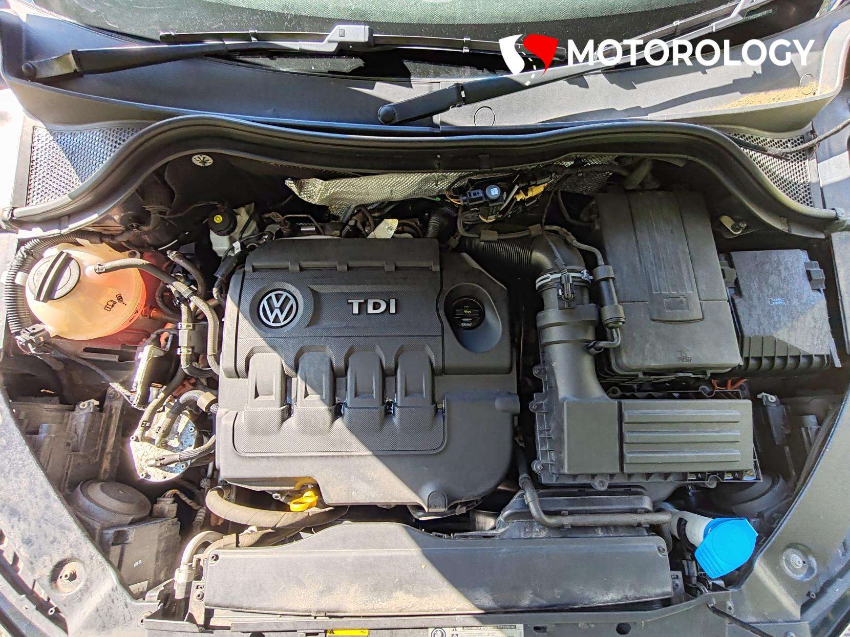 2016 VOLKSWAGEN TIGUAN 2016 VOLKSWAGEN TIGUAN