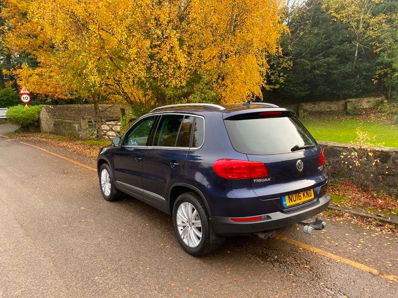 2016 VOLKSWAGEN TIGUAN 2016 VOLKSWAGEN TIGUAN