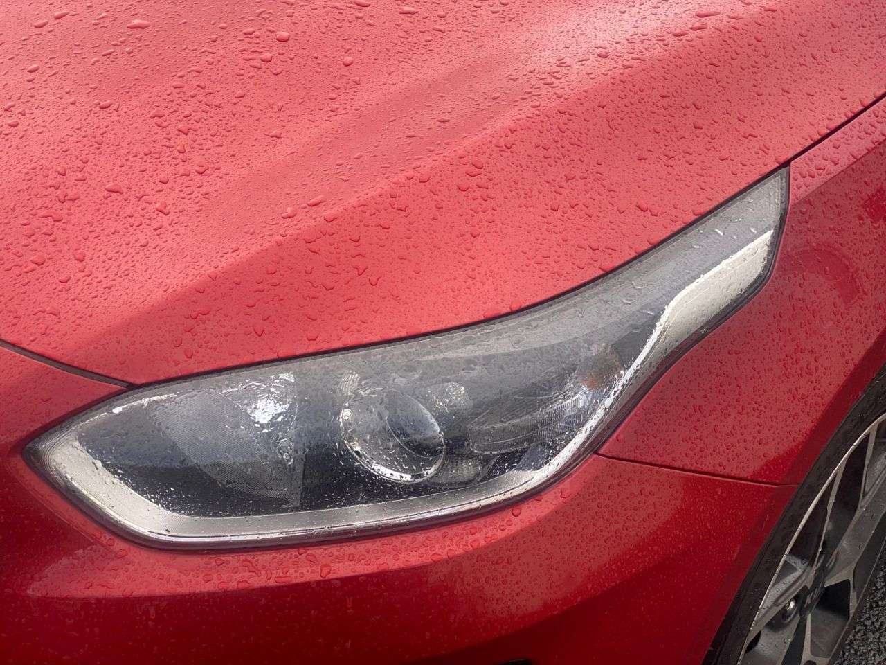 2019 KIA PROCEED 2019 KIA PROCEED