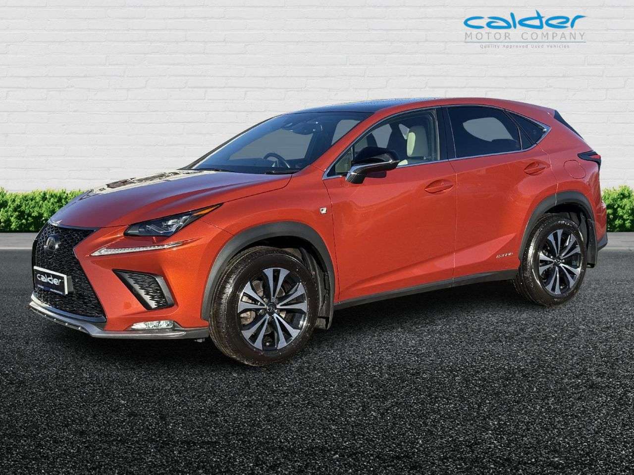 2020 LEXUS NX 2020 LEXUS NX